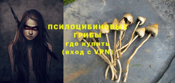 круглые Пересвет