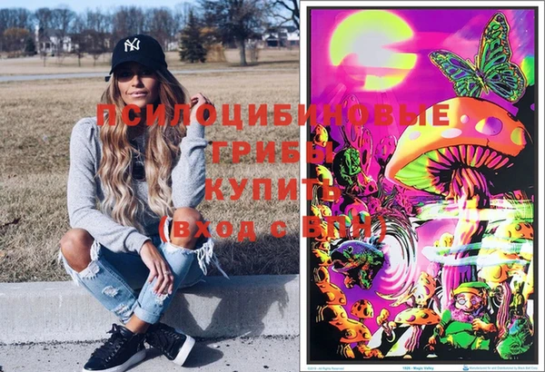 сатива Алексеевка