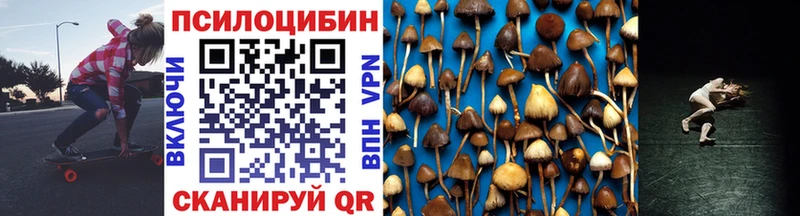 Псилоцибиновые грибы прущие грибы  KRAKEN вход  Дегтярск 